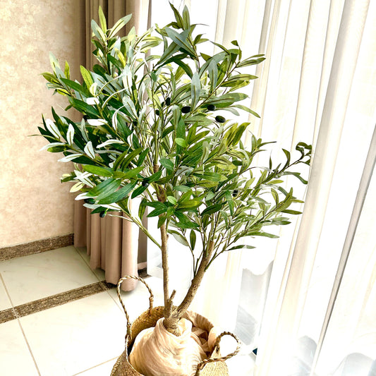 Evergreen Olive Tree Indoor Decoration 110 cm without pot