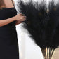 Black fluffy Pampas Sticks