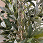 Evergreen Olive Tree Indoor Decoration 110 cm without pot