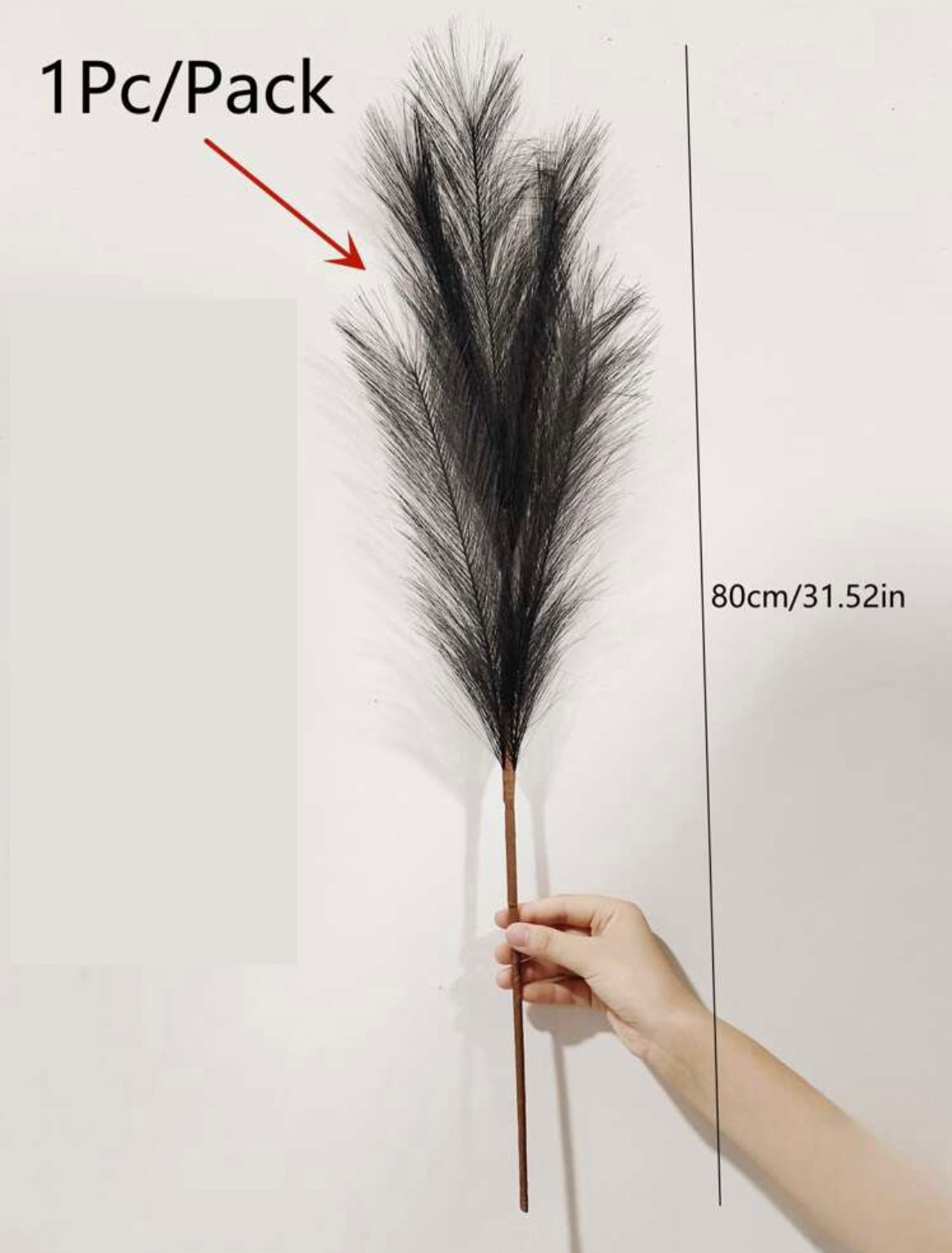 Black fluffy Pampas Sticks