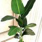 Artificial Potted strilitzia Tree Banana without basket or pot