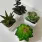 Artificial plastic greenery mini plant set of 4