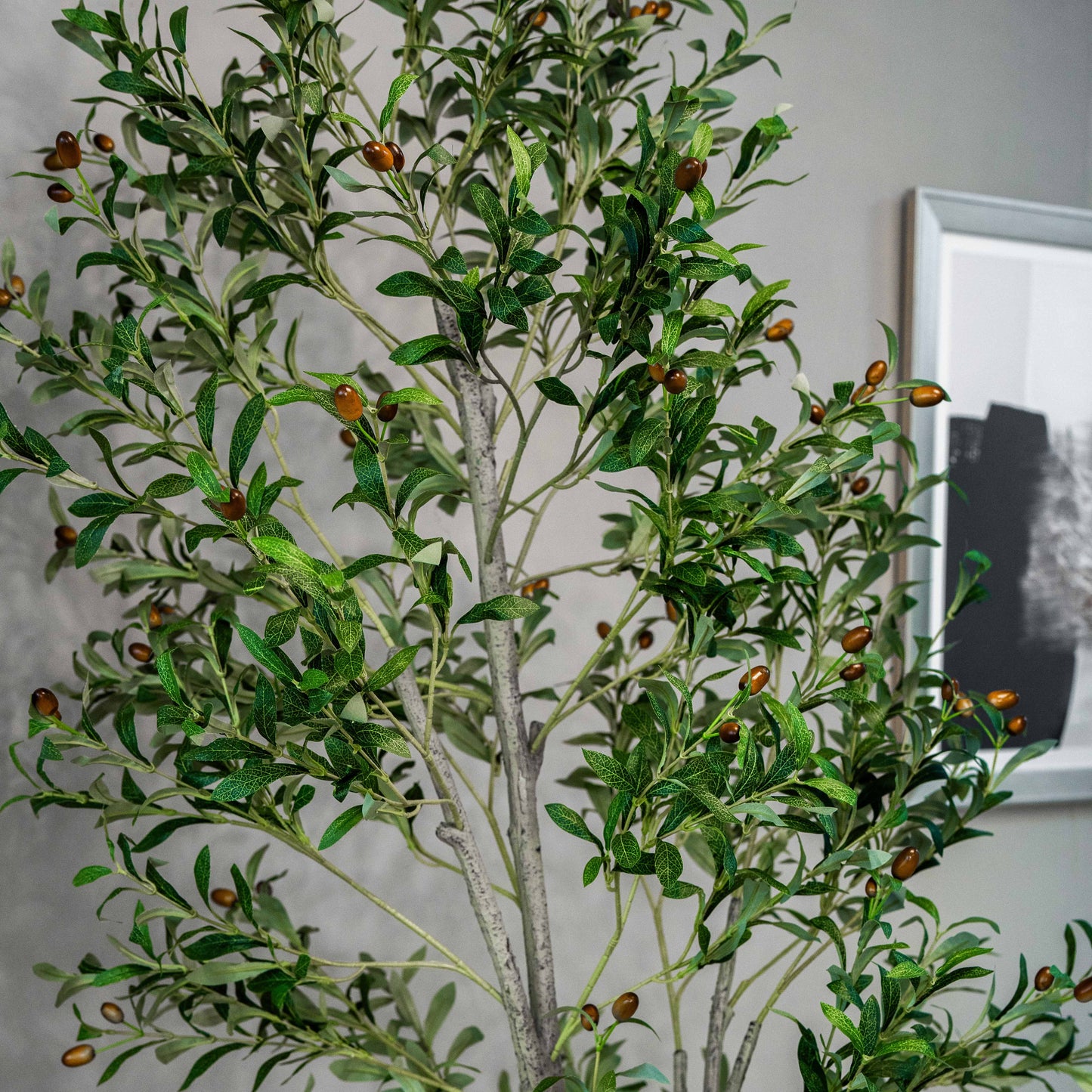 Olive Tree 200cm