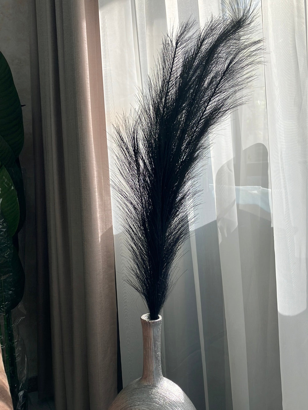 Black fluffy Pampas Sticks