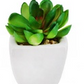 Artificial plastic greenery mini plant set of 4