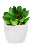 Artificial plastic greenery mini plant set of 4