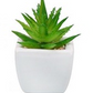 Artificial plastic greenery mini plant set of 4