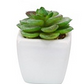 Artificial plastic greenery mini plant set of 4