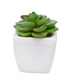 Artificial plastic greenery mini plant set of 4