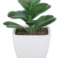 Artificial plastic greenery mini plant set of 4