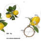 Lemon Ring Napkin Holder Western-Style