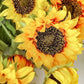 Sunflower With 3 Heads