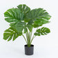 Plastic potted monstera leaf monstera tree plant