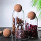 Glass Storage Jars 